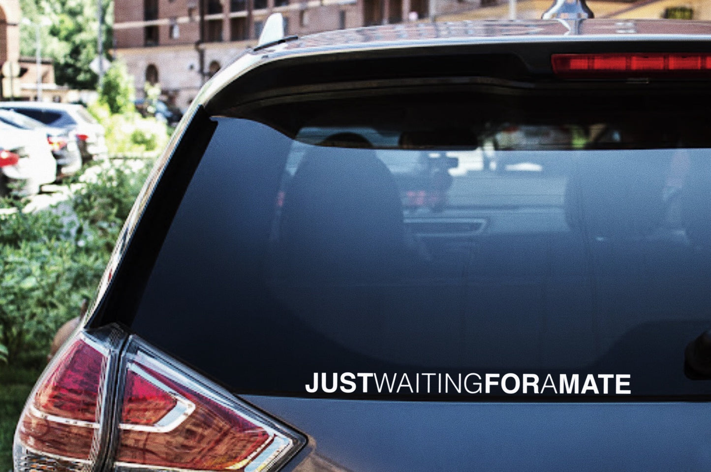Just Waiting For A Mate Decal